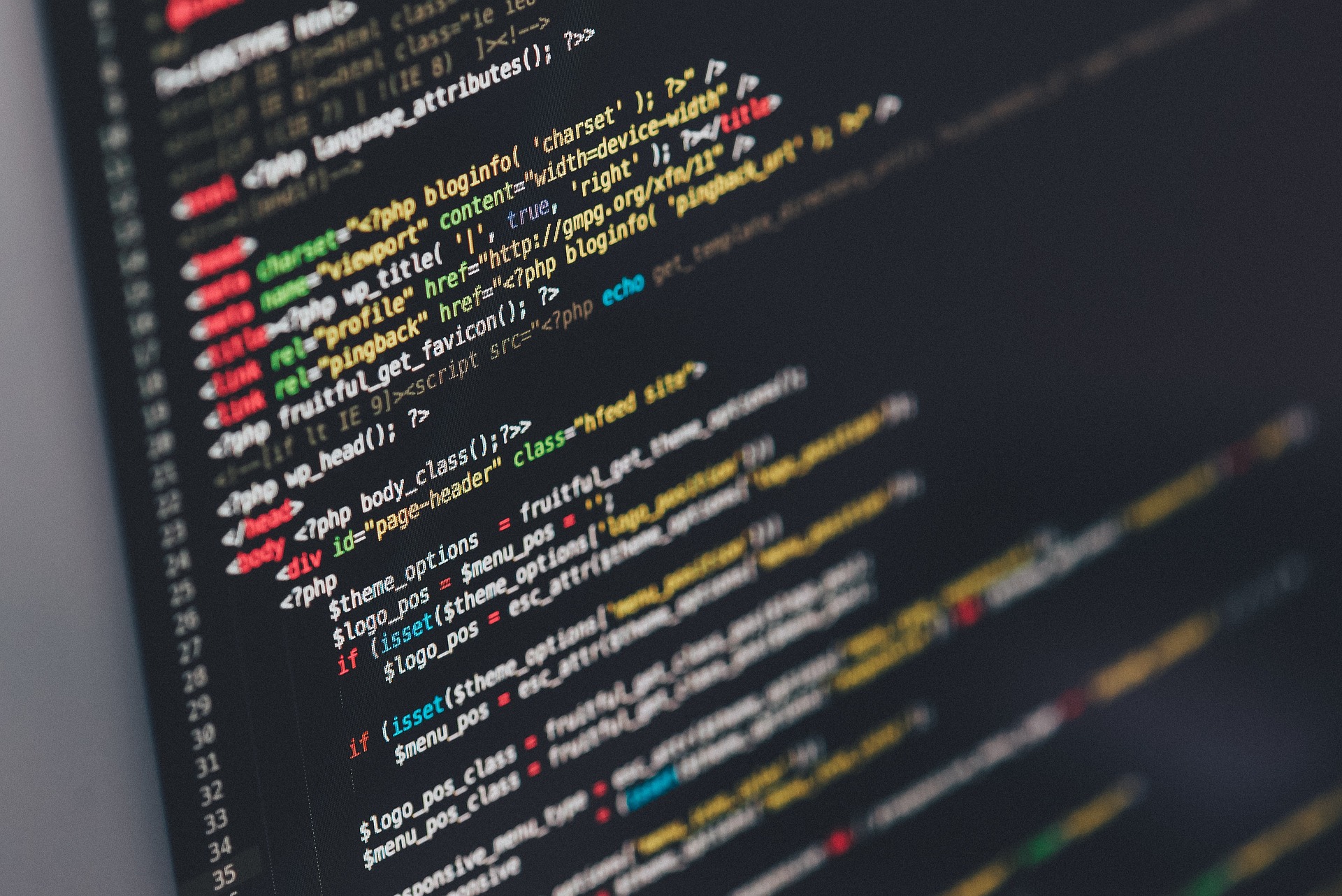 Software development close-up
